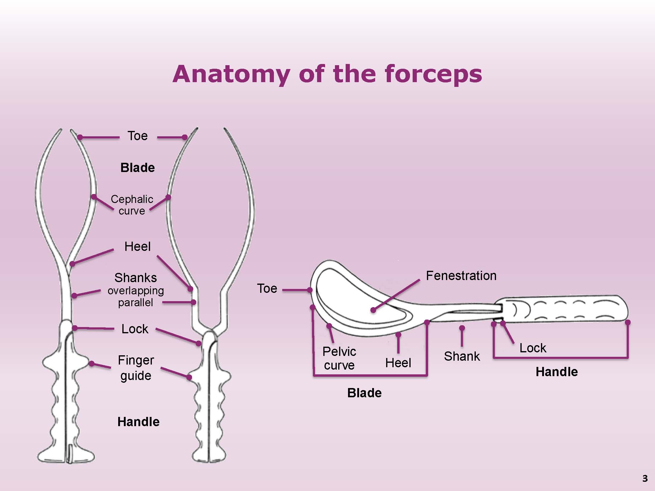 Types Of Delivery Forceps And Their Uses At Eugene Mash Blog